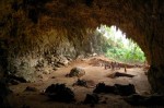 Deze grot is een rijke vindplaats op het Indonesische eiland Flores, waar onder meer een schedel van de Homo Florensiensis is gevonden (bron: wikimedia commons). 
